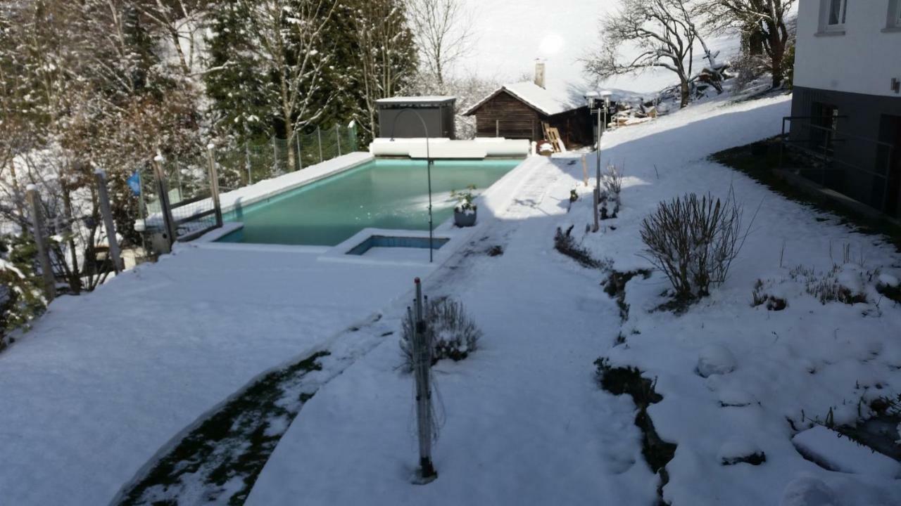 Traumhafte Ferienwohnung Mit Pool Steinen  Exterior photo